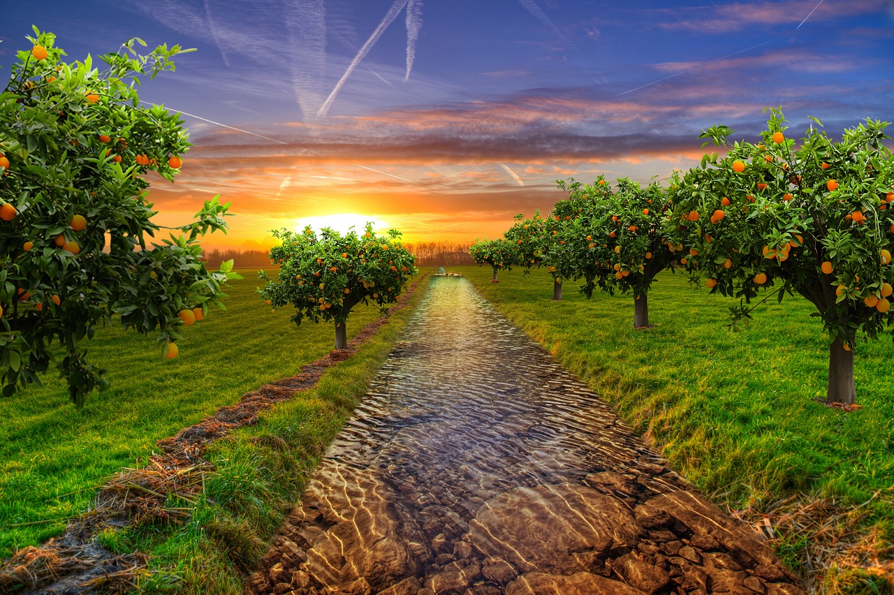 What Fruit Trees Can Be Planted Next To Each Other